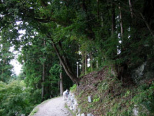 焼山寺へ続く山道