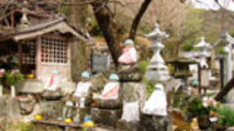 第35番清瀧寺境内の像